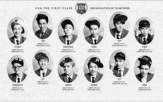 exo成员资料介绍,揭秘韩国顶级偶像团体的魅力之星