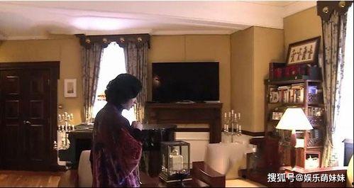 金星房子资料,探索金星独特居住环境与未来居住潜力