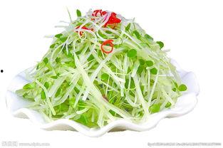 苗青图片,自然之美与人文情怀的完美融合